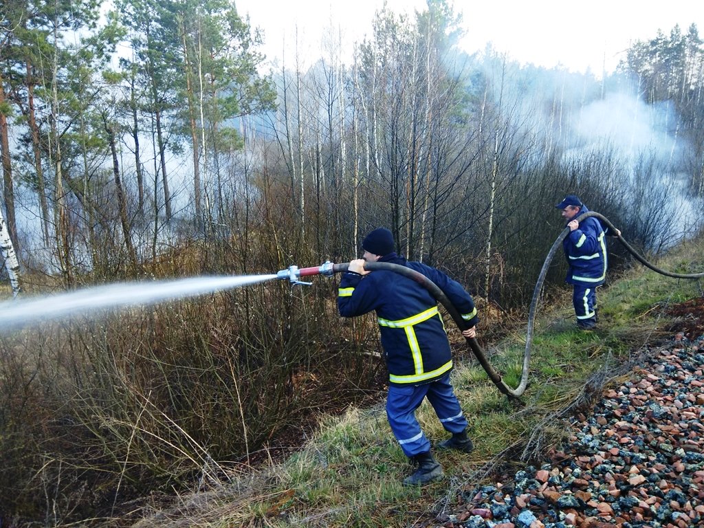 Підпалювачі трави не святкують - за добу на Прикарпатті зафіксовано десяток займань в природних екосистемах