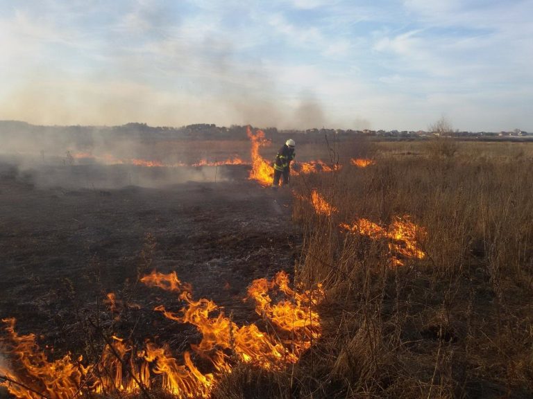 Прикарпатських рагулів не лякають захмарні штрафи - за минулу добу майже 10 підпалів в екосистемах області