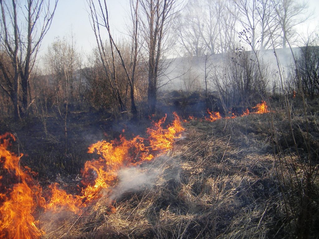 На Прикарпатті спалювання сухої трави на чагарників ледь не закінчилось фатально