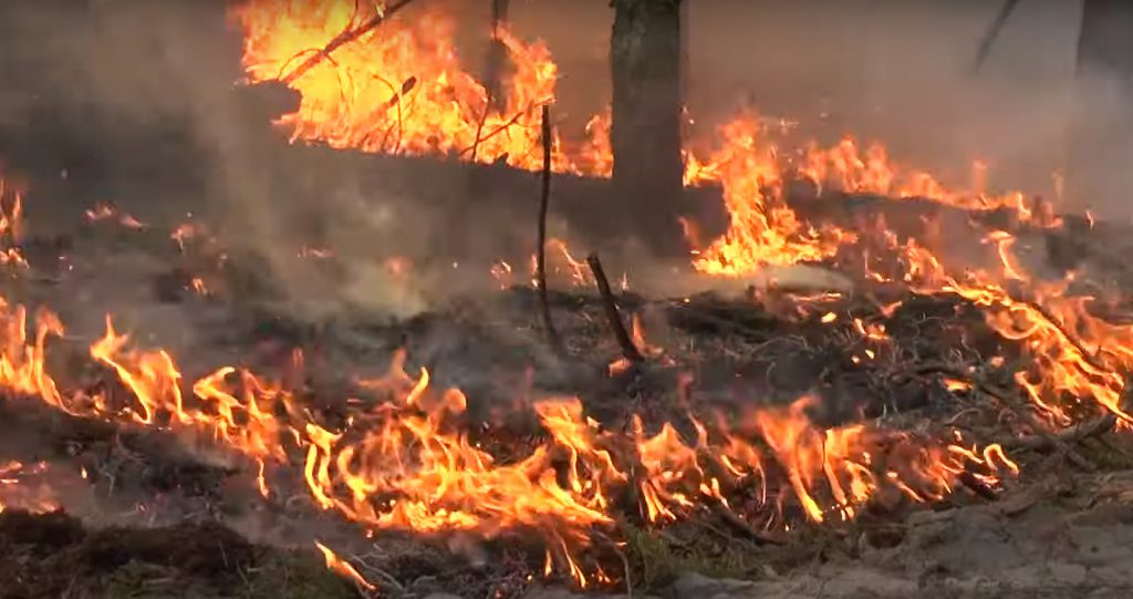 Прикарпатських рагулів не лякають захмарні штрафи - за минулу добу майже 10 підпалів в екосистемах області