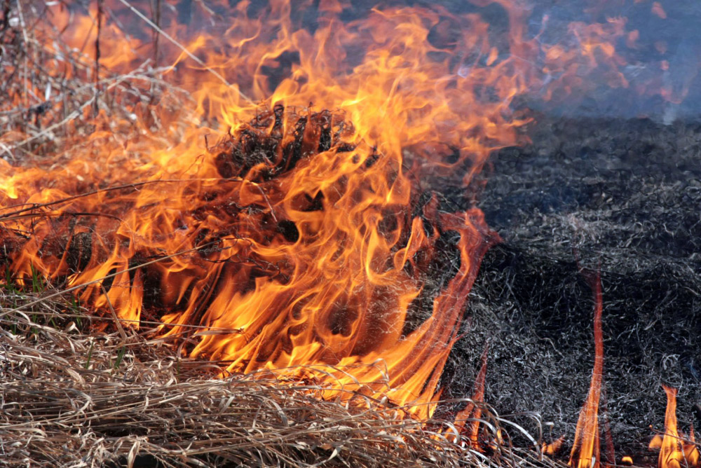 Упродовж минулої доби на Прикарпатті зафіксовано 40 підпалів сухої трави, чагарників та сміття