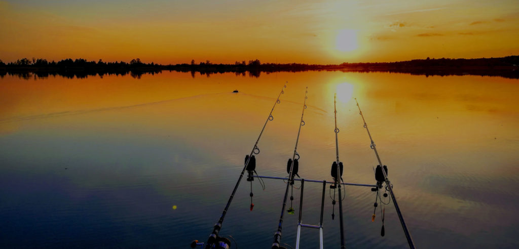 Де на Івано-Франківщині можна рибалити під час нересту