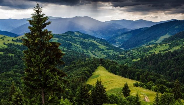 Чи зможе туристичний бізнес Прикарпаття оговтатися від “карантинних” збитків?