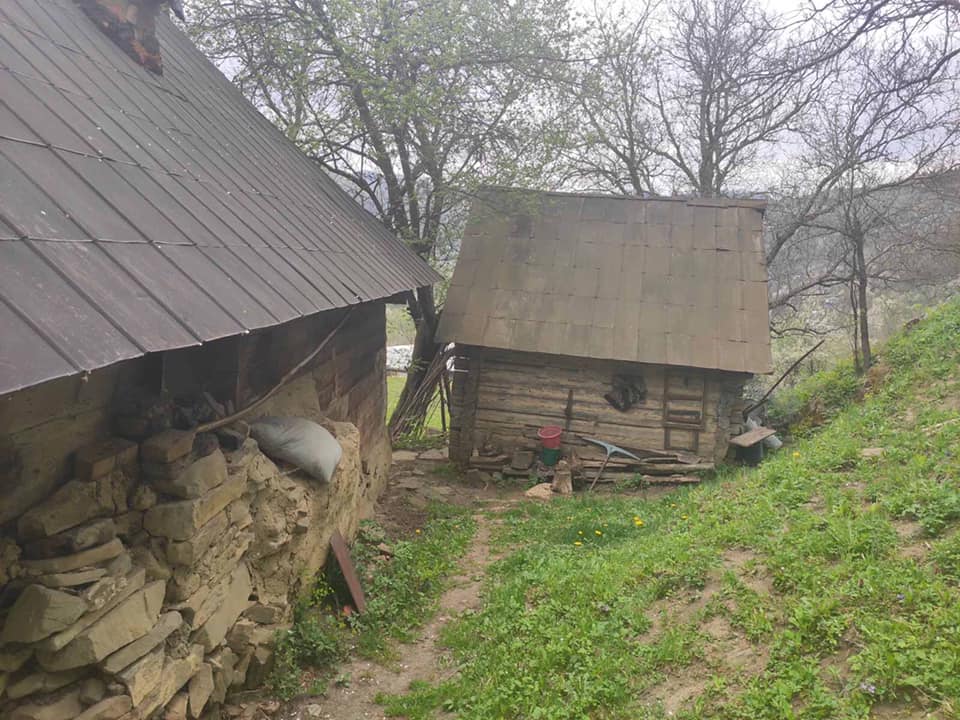 У прикарпатському селі одинока важкохвора жінка помирає з голоду, а на це ніхто не реагує - волонтери: фото та відео