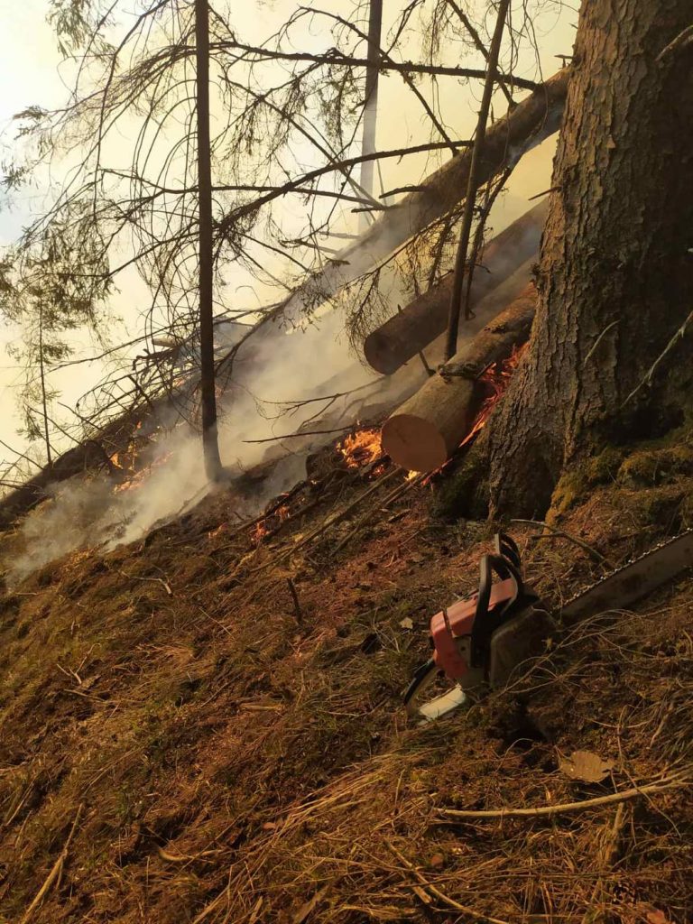 Поблизу Верховини два дні гасили пожежу в лісі