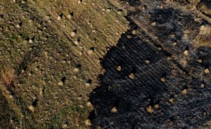 Суцільне згарище. У мережі показали масштаби спалювання трави у Франківську: вражаючі фото