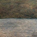 Як виглядають прикарпатські поля із висоти пташиного польоту: фоторепортаж
