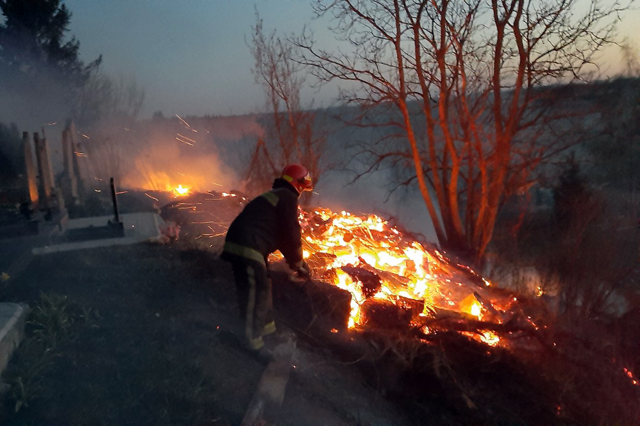 Пожежі в природних екосистемах завдали шкоди Прикарпаттю на декілька десятків мільйонів гривень