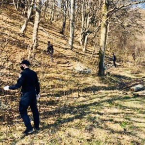 Неповнолітнього прикарпатця, який втік з дому, знайшли у лісі з допомогою кінологів: фотофакт