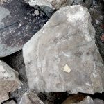 У Рогатині виявили уламки єврейських надгробків: фоторепортаж