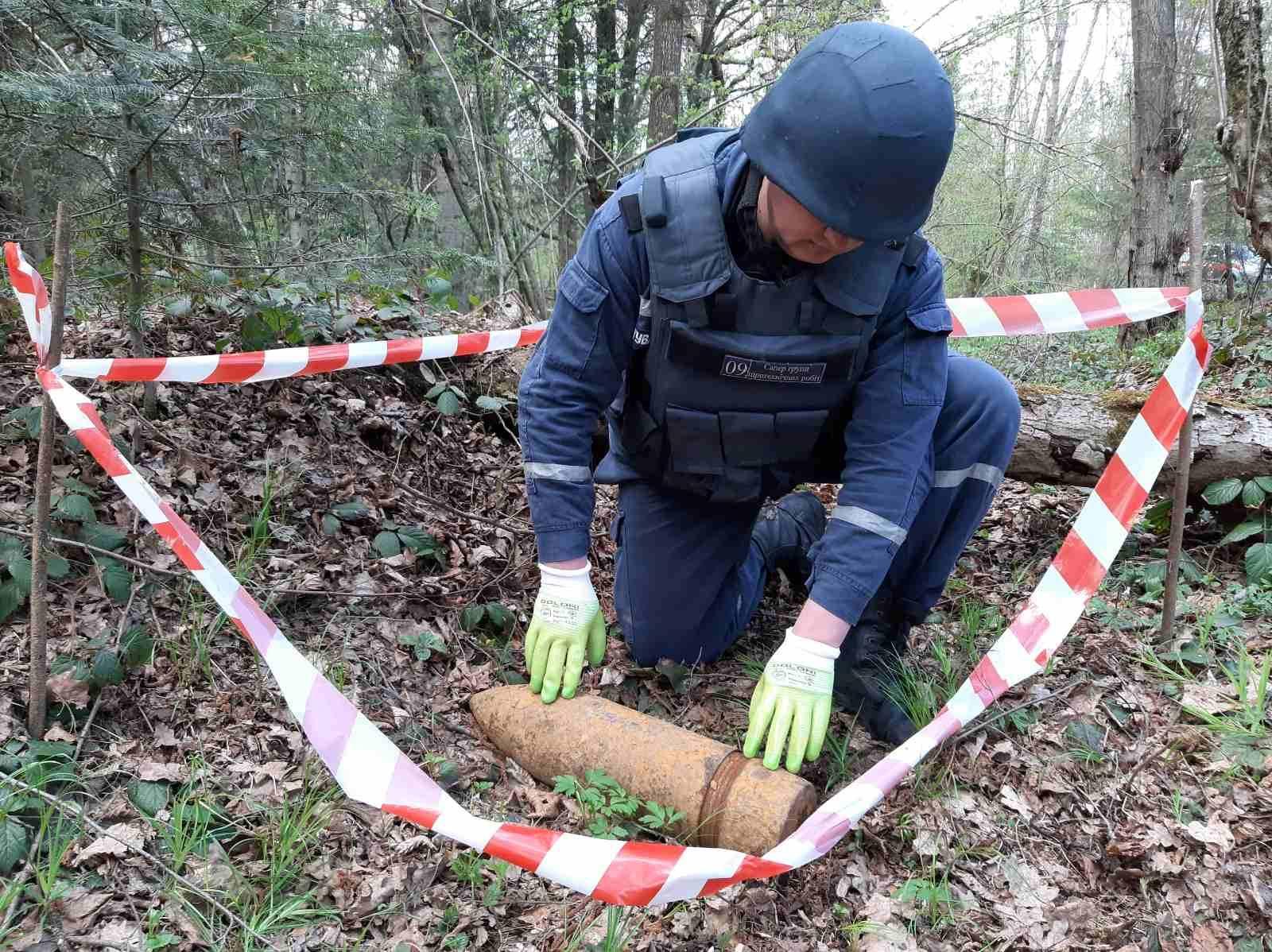 В лісі на Долинщині знищили два боєприпаси часів Другої світової війни: фото