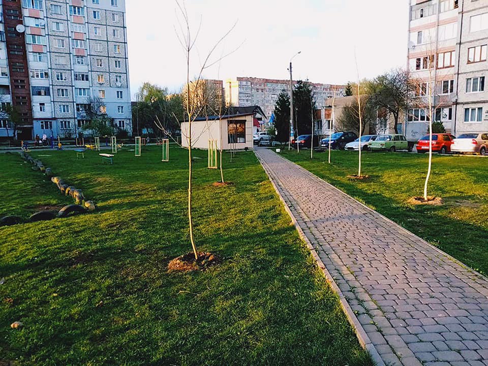 Акації, клени, платани. Франківські комунальники висадили більше трьох сотень саджанців дерев