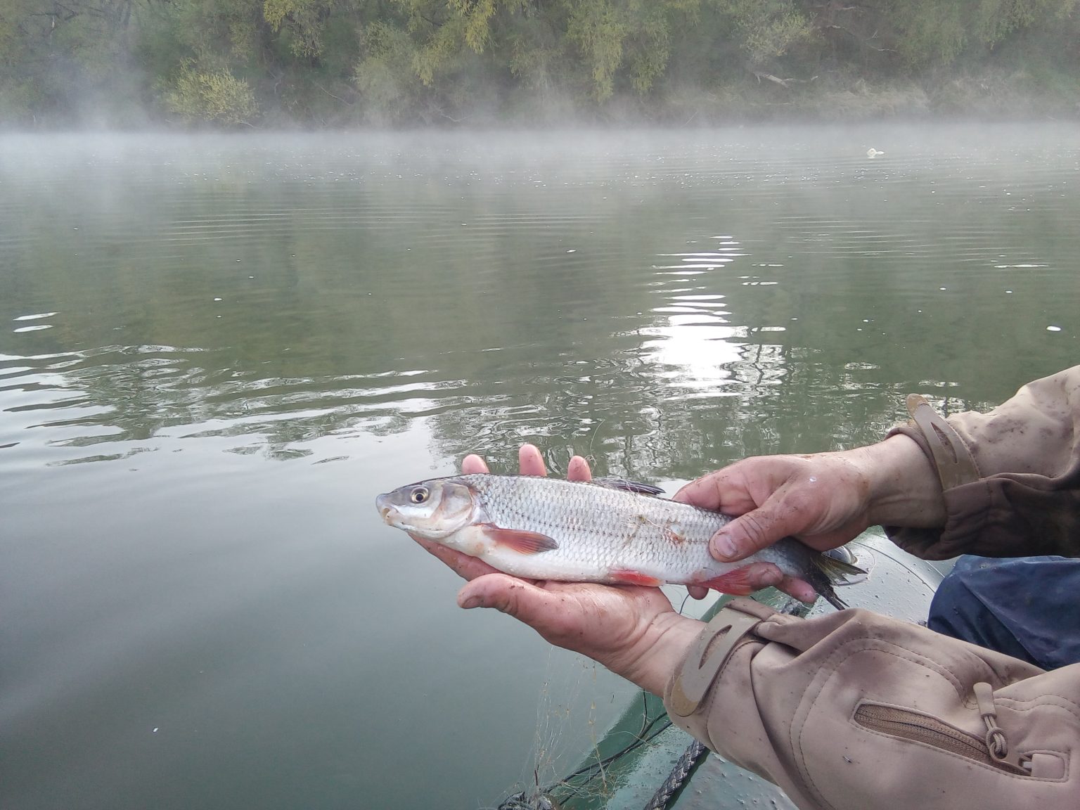 Рибпатруль вилучив на Дністрі 150 метрів браконьєрських сіток: фото та відео