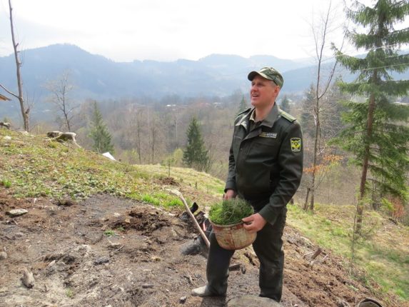 На Верховинщині висаджують молоді ліси