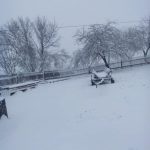 Гірські райони Прикарпаття рясно притрусило снігом: фоторепортаж