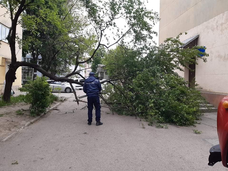 Івано-Франківськ потерпає від сильного буревію
