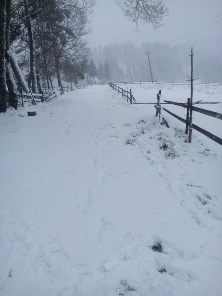 Гірські райони Прикарпаття рясно притрусило снігом