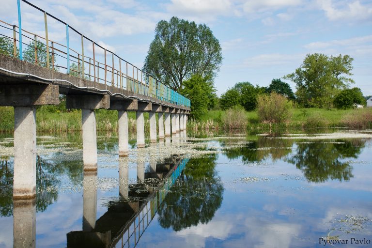 Спокійне та безлюдне. Яким буває Німецьке озеро вранці: неймовірні фото