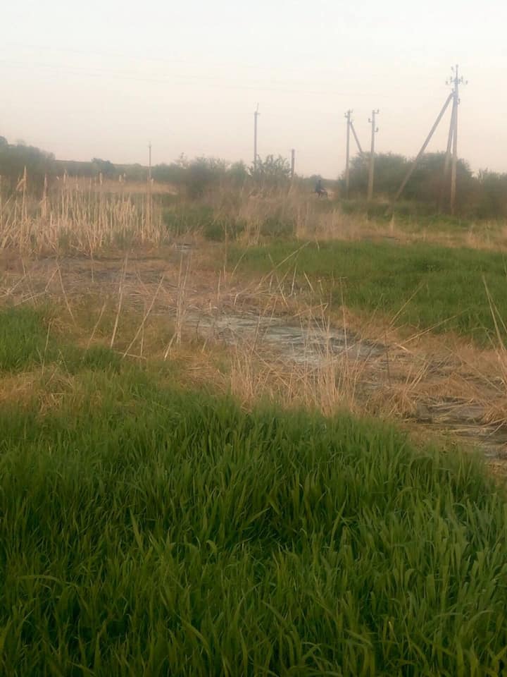 На Рогатинщині стічні води з каналізаційних мереж забруднюють сінокоси: фотофакт