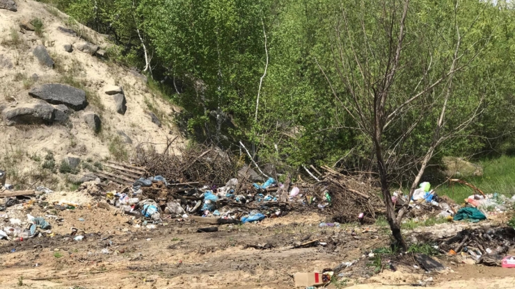 В селі на Рогатинщині люди борються зі стихійними смітниками, а влада скидає відходи в кар'єр