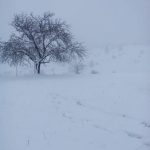 Гірські райони Прикарпаття рясно притрусило снігом: фоторепортаж