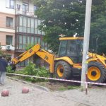 Мешканці вулиці Мазепи обурені спробою зрізати дерева у їхньому дворі: фоторепортаж