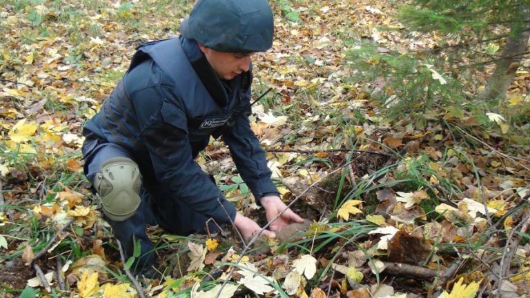 В лісі на Тисмениччині знешкодили два артилерійські снаряди