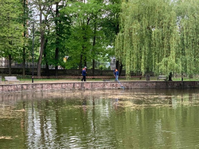 У Франківському парку продовжують чистити водойми від листя та цвіту