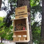 У Івано-Франківську з'явилися годівниці для птахів у вигляді барних стійок