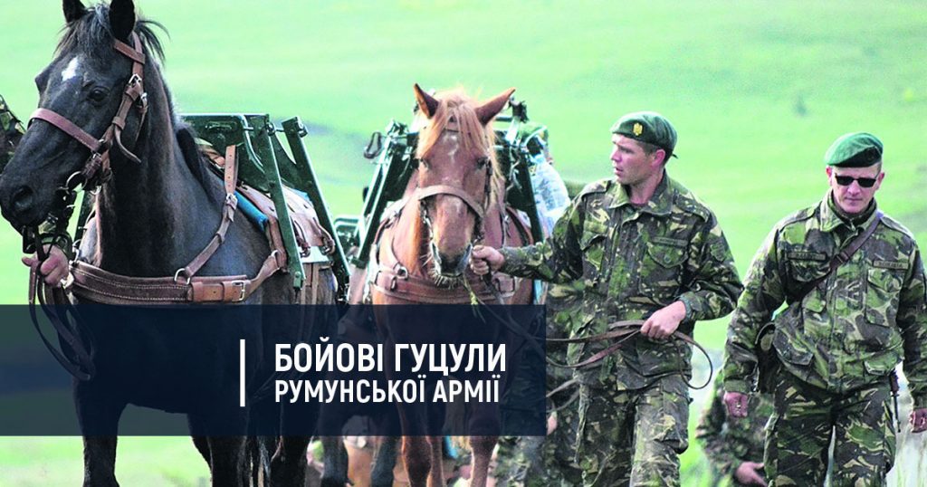 Як бойові гуцульські коні несуть службу в складі румунської армії: фоторепортаж