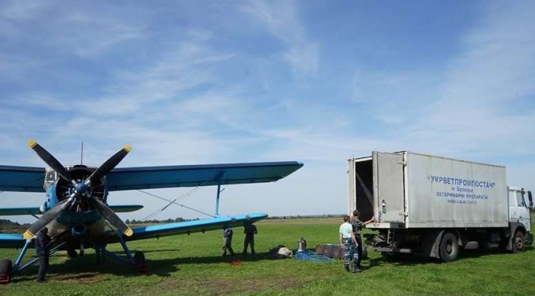 У п'яти районах Прикарпаття розкидали приманки для профілактики сказу