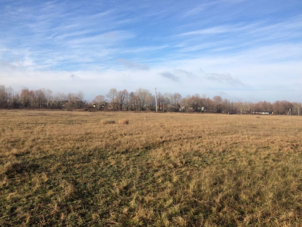 Прокурорам Прикарпаття вдалося повернути громаді незаконно передану земельну