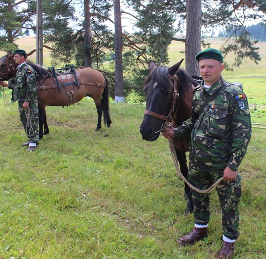 Як бойові гуцульські коні несуть службу в складі румунської армії: фоторепортаж