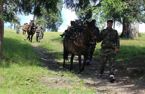 Як бойові гуцульські коні несуть службу в складі румунської армії: фоторепортаж