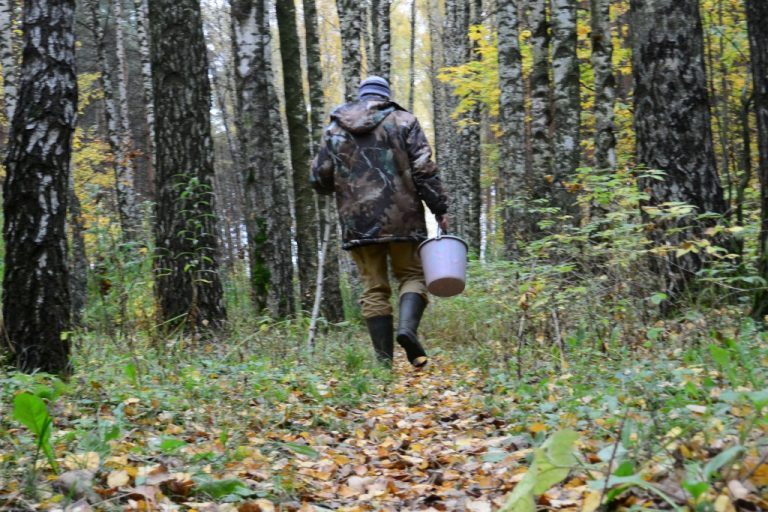 Поліція розшукала літнього прикарпатця, який заблукав у лісі: фото