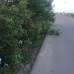 дтп