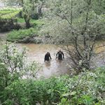 Водолази з річки вилучили тіло загиблого прикарпатця, якого розшукувала поліція
