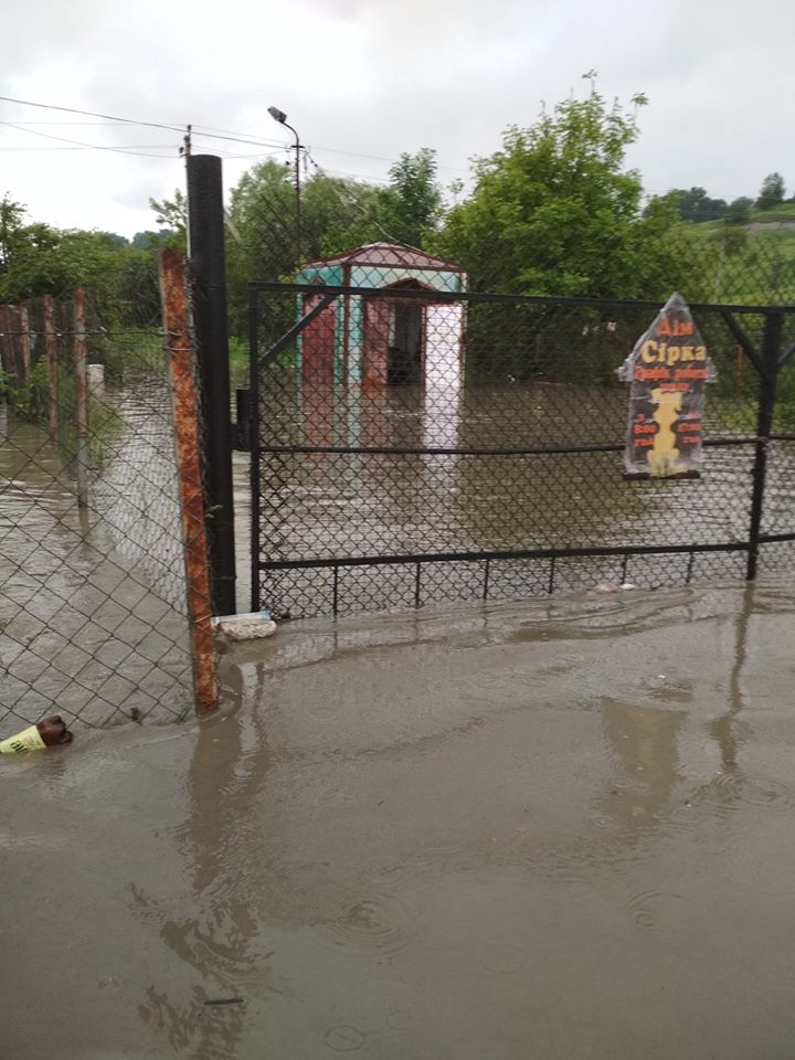 У Калуші вода затопила "Дім сірка", волонтери просять про допомогу: відео