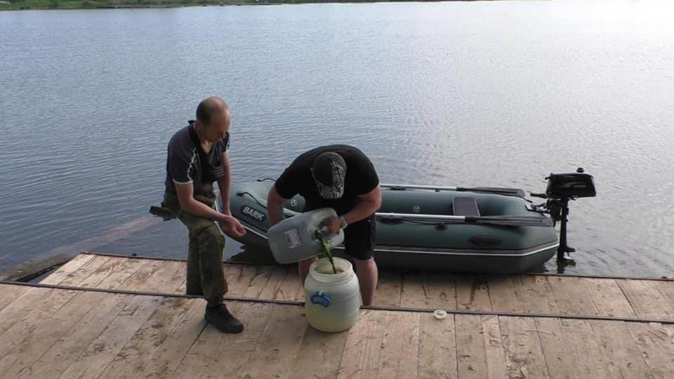 У долинському озері рибу рятуватимуть за допомогою хлорелу: фото