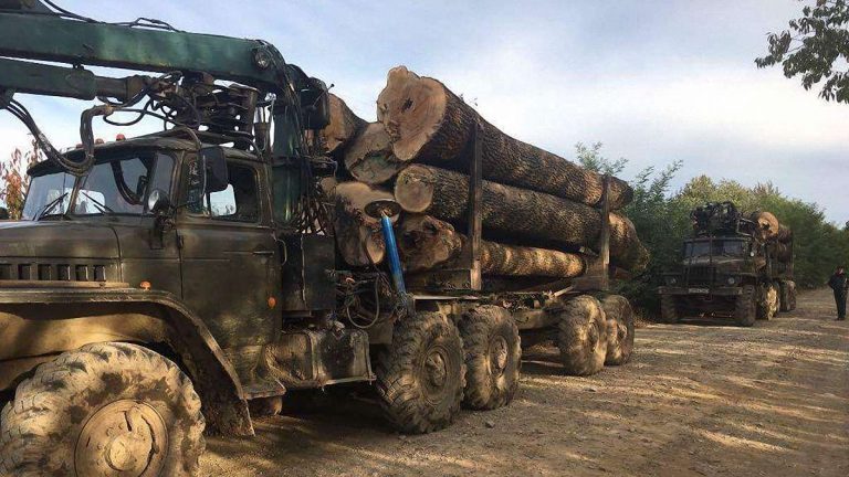 На Прикарпатських дорогах побільшає лісовозів завантажених деревиною