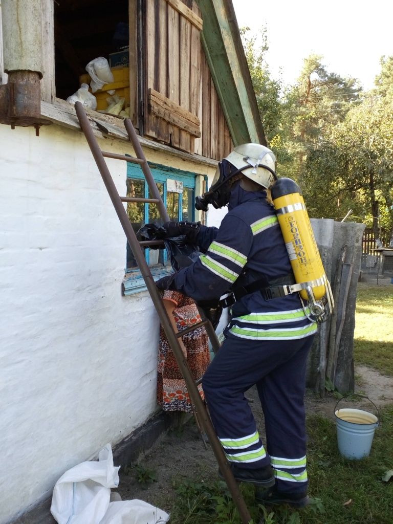 Франківські надзвичайники рятували мешканців міста від шершнів та бджіл