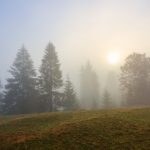 Карпати оповиті ранковим туманом - в мережу виклали красиві фото гір: фоторепортаж