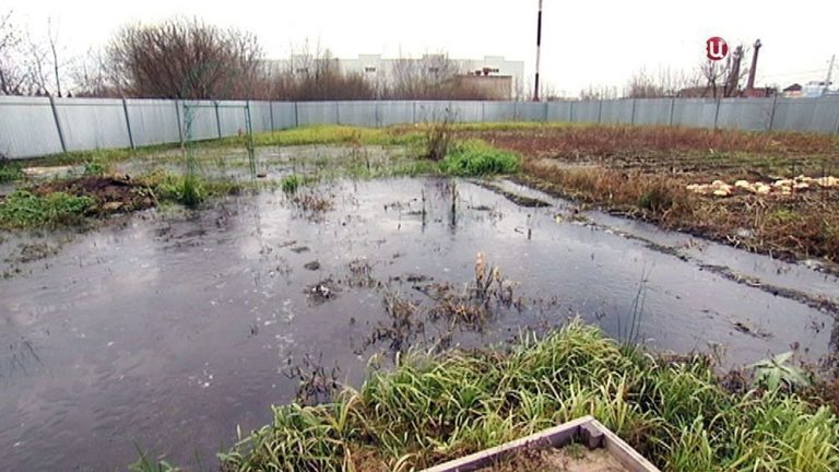 Дачні масиви Франківська потонули у воді: відео