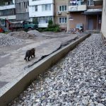 У Франківську триває ремонт дворів: фото