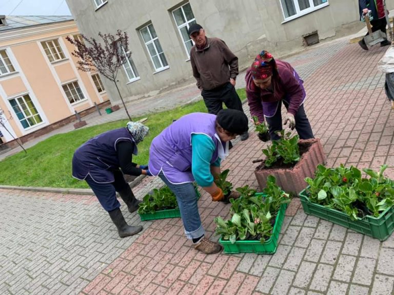 В Івано-Франківську продовжують прикрашати квітам