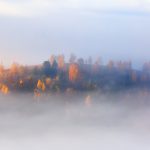 Карпати оповиті ранковим туманом - в мережу виклали красиві фото гір: фоторепортаж