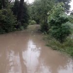 Зруйновані дороги, пошкоджені мости та евакуйоване населення - вода наробила лиха у Калуському, Рожнятівському та Долинському районах: фоторепортаж