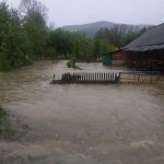 Через рясні дощі в одному із прикарпатських сіл розлився потічок: фото та відео