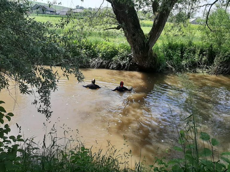 Водолази з річки вилучили тіло загиблого прикарпатця, якого розшукувала поліція