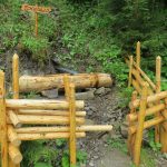 Прикарпатські лісники облаштували ще одну зону відпочинку у горах: фоторепортаж